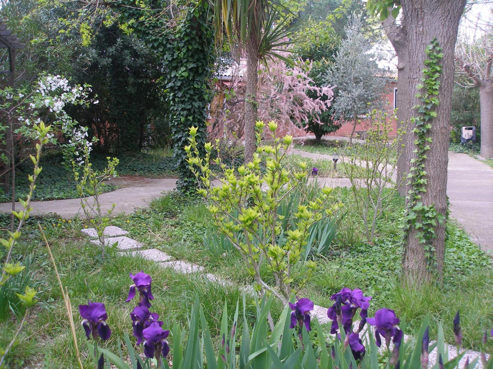 La Chaumiere Hotel Agde Buitenkant foto